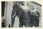 Mechanical Elephant, promenade by Winter Gardens 1950s | Margate History 